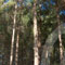 Picture 30
